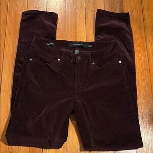 Calvin Klein Corduroy Trousers in Dark Burgundy